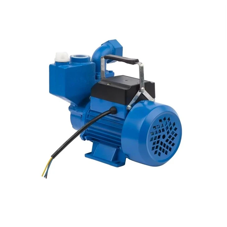 Izdb-35 0.37kw 0.5HP General Electric Self-Priming Peripheral Water Pump Brass Impeller factory Izdb-35 0.37kw 0.5HP General Electric Self-Priming Peripheral Water Pump Brass Impeller factory