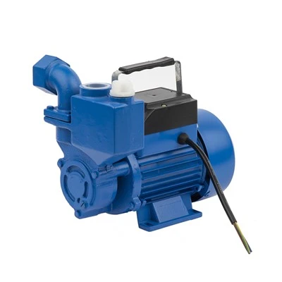 Izdb-45 0.55kw 0,75 PS General Electric Messing-Laufrad selbstansaugende periphere Wasserpumpe